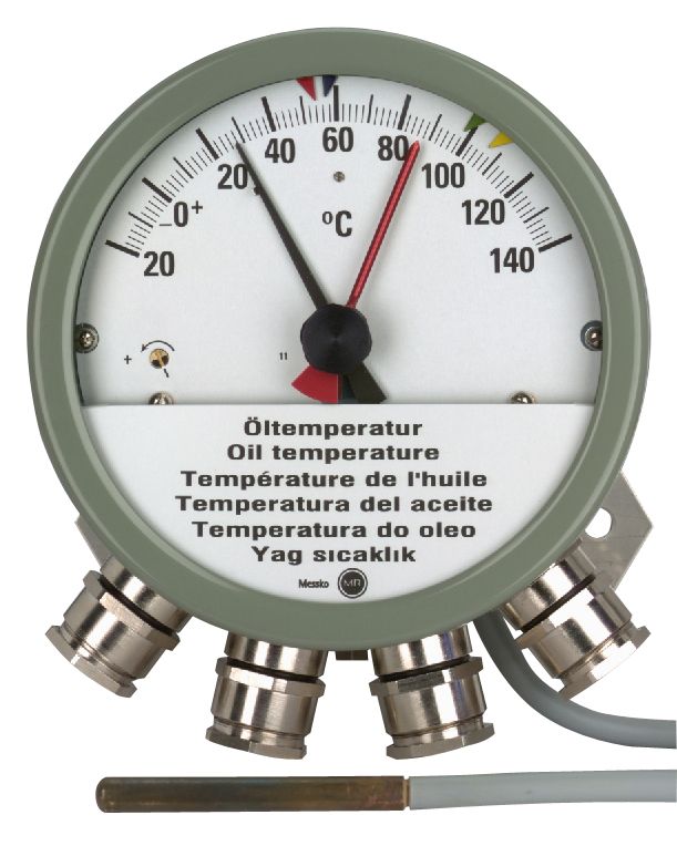 Compact MT-ST160RM/SK(TT) - Indicator thermometer for distribution
